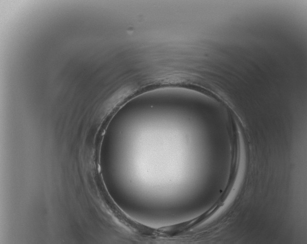 X0000077380485200610271950