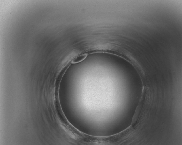 X0000077380486200610271950