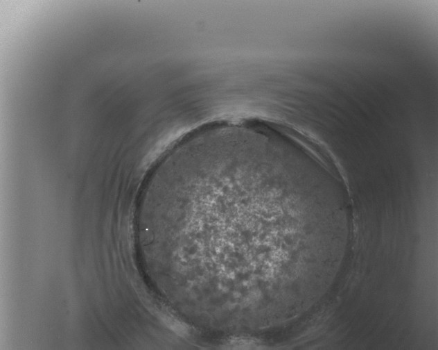 X0000077380487200610271950