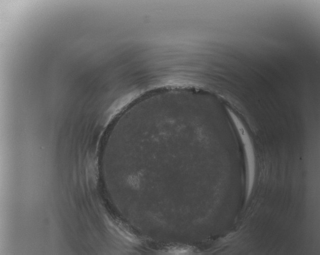 X0000077380488200610271950