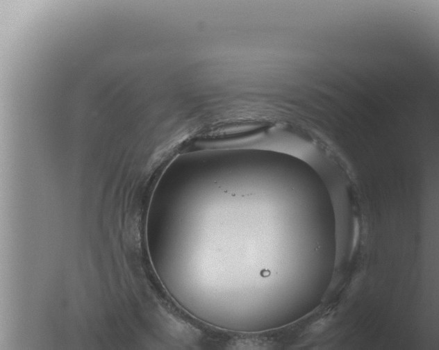 X0000077380489200610271950