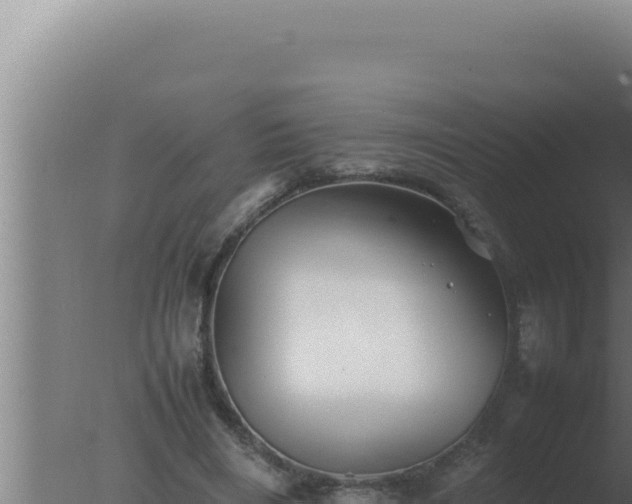 X0000077380490200610271950