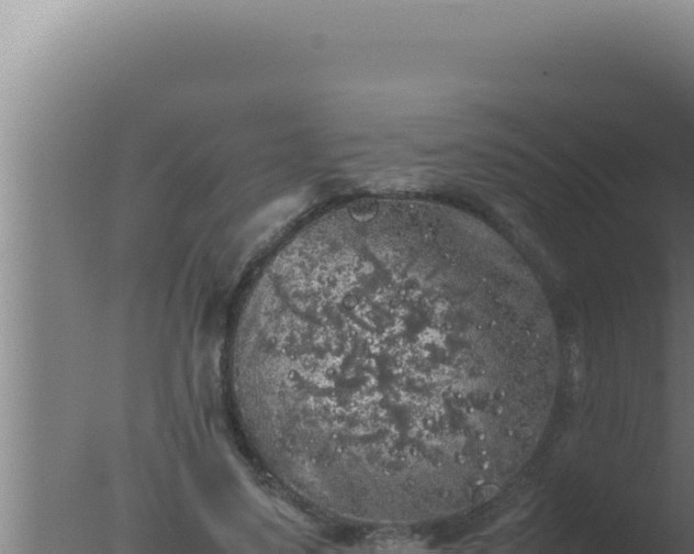 X0000077380491200610271950