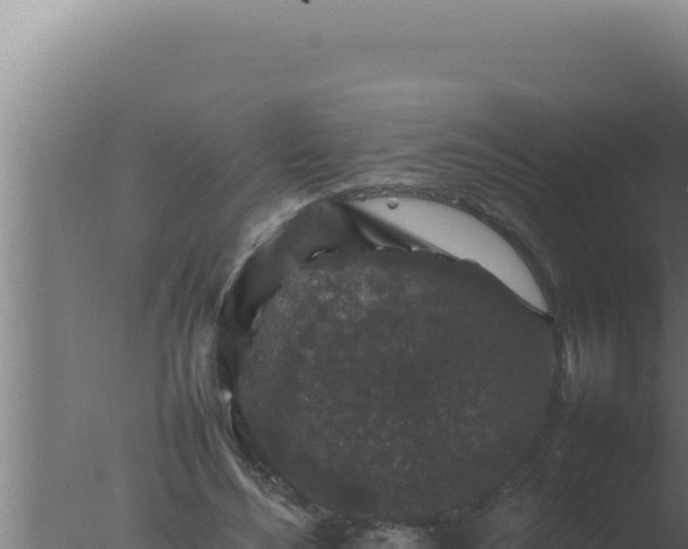 X0000077380492200610271950