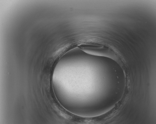 X0000077380493200610271950