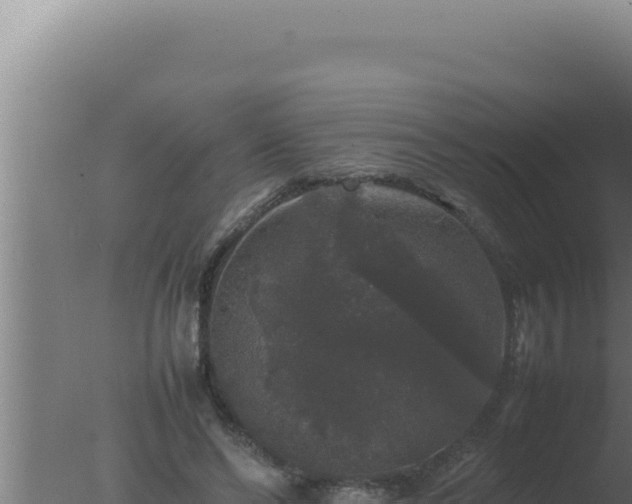 X0000077380494200610271950