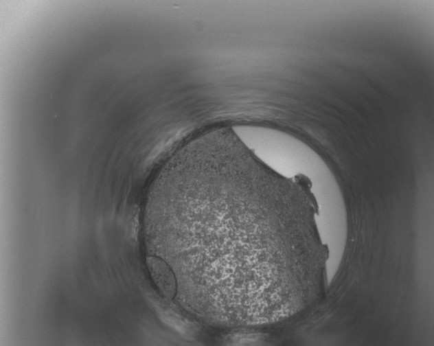 X0000077380495200610271950