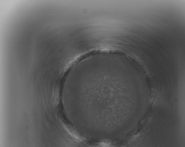 X0000077380496200610271950