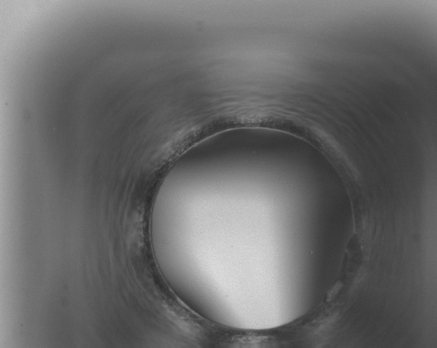 X0000077380497200610271950