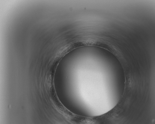 X0000077380498200610271950