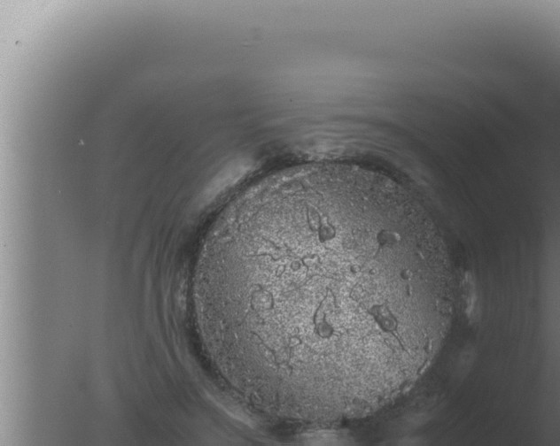 X0000077380499200610271950