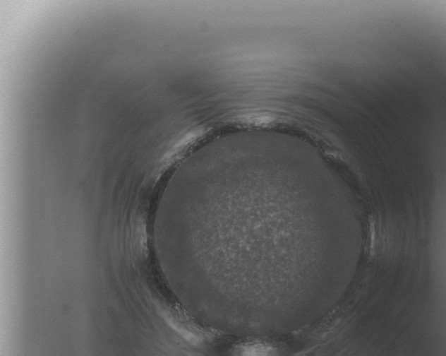 X0000077380500200610271950