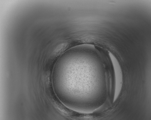 X0000077380501200610271950