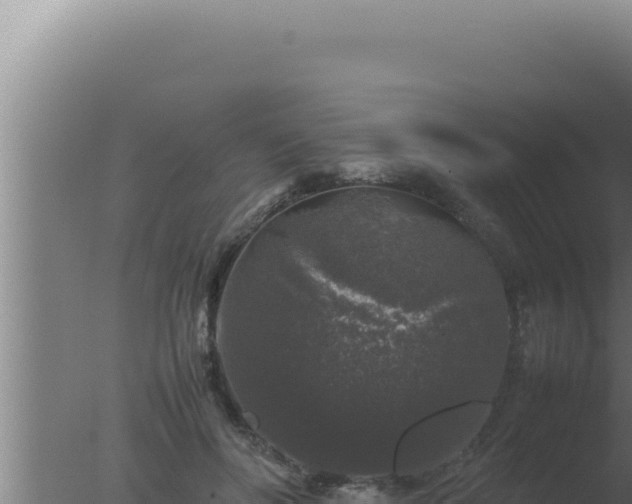 X0000077380502200610271949