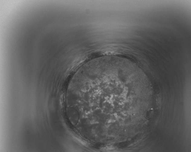 X0000077380503200610271949