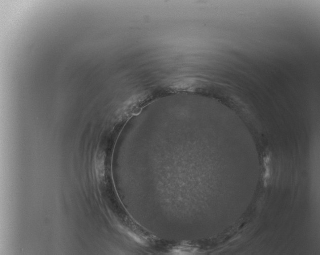 X0000077380504200610271949