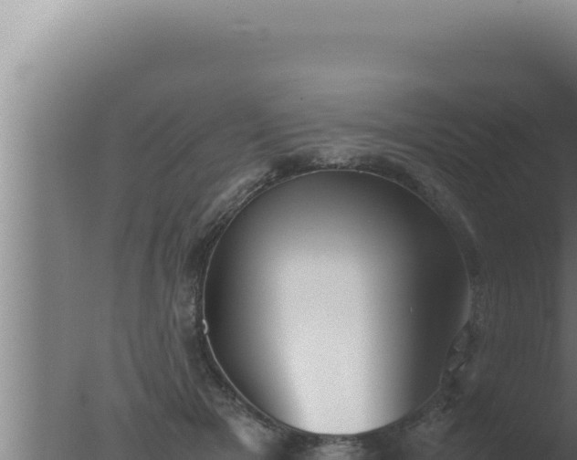 X0000077380505200610271949