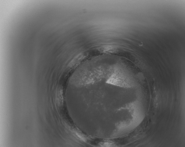 X0000077380506200610271949