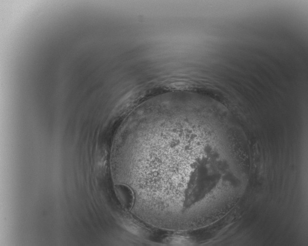 X0000077380507200610271949