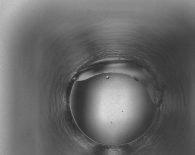 X0000077380508200610271949