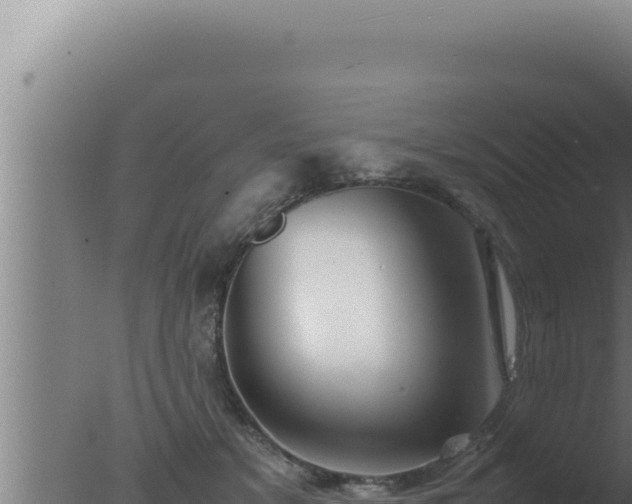 X0000077380509200610271949