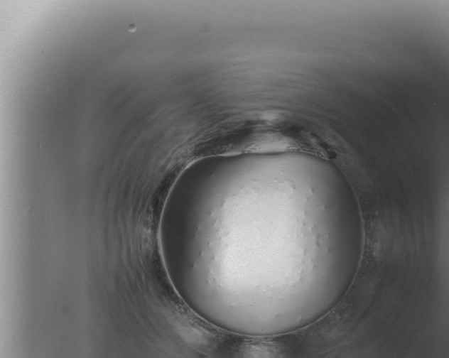 X0000077380510200610271949