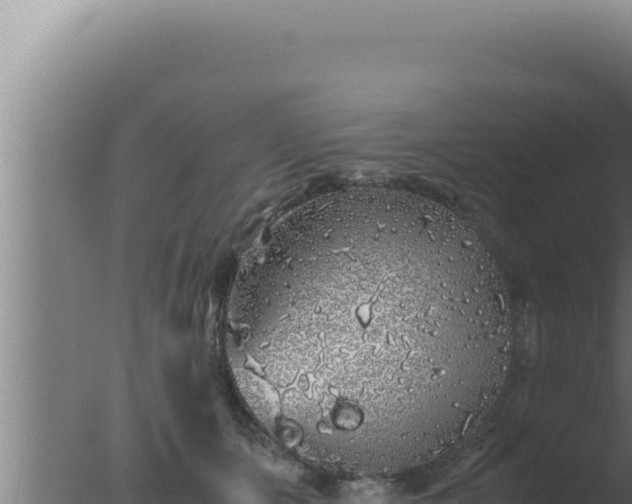 X0000077380511200610271949