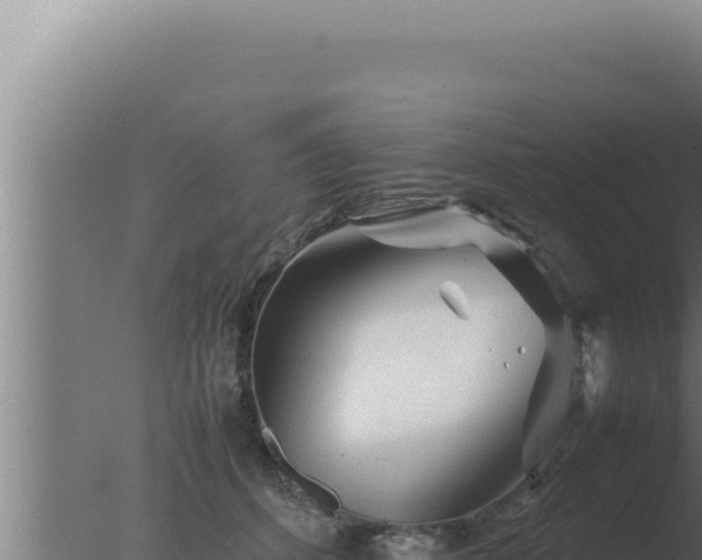 X0000077380512200610271949