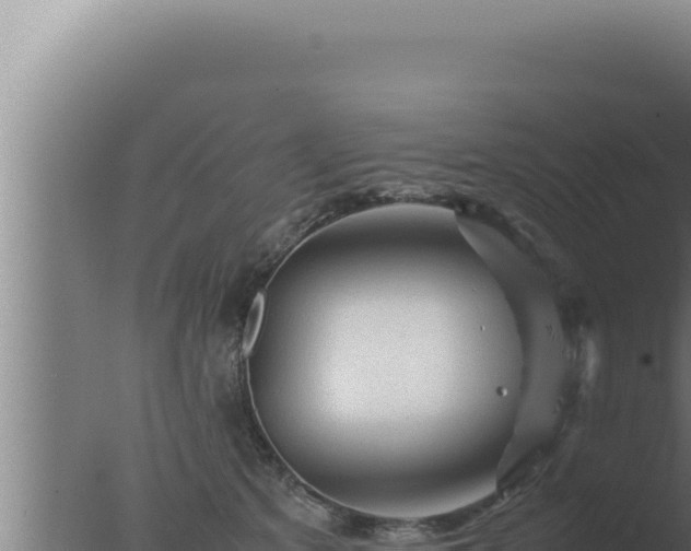 X0000077380513200610271949