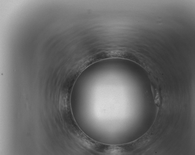 X0000077380514200610271949