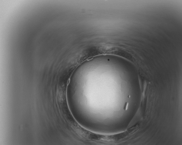 X0000077380515200610271949