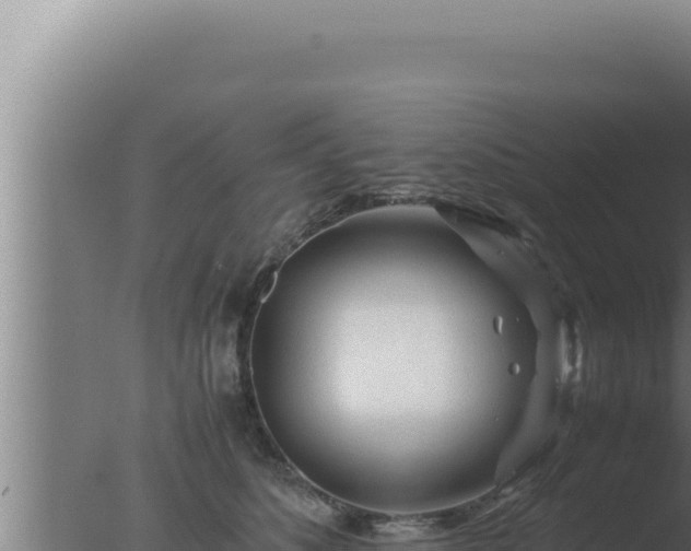 X0000077380516200610271949