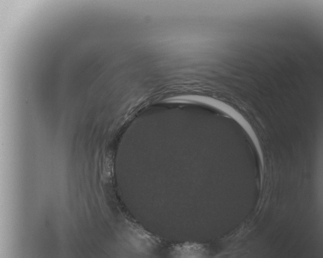 X0000077380517200610271949