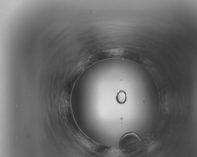 X0000077380518200610271949