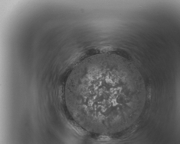 X0000077380519200610271949