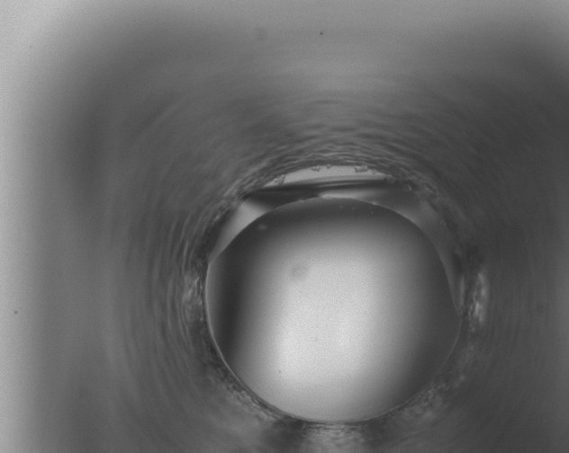 X0000077380521200610271949