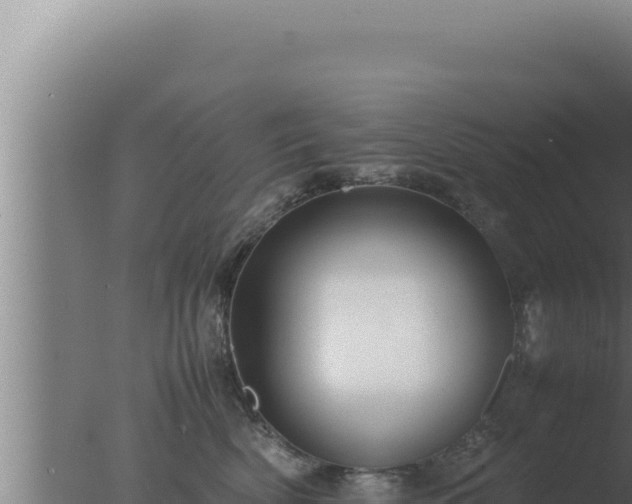 X0000077380522200610271949