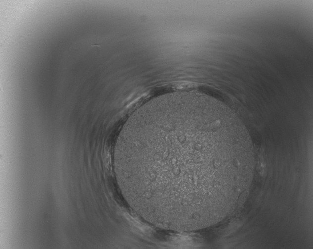 X0000077380523200610271949