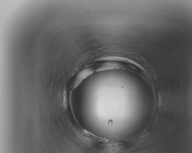 X0000077380524200610271949