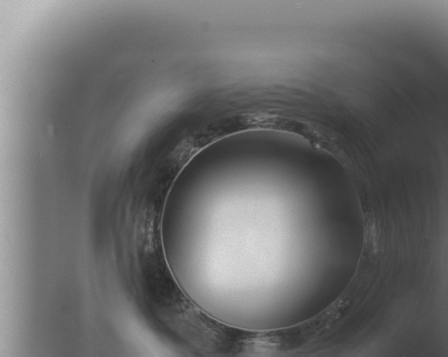 X0000077380525200610271949