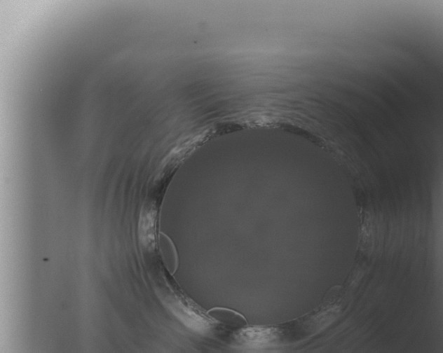 X0000077380526200610271949