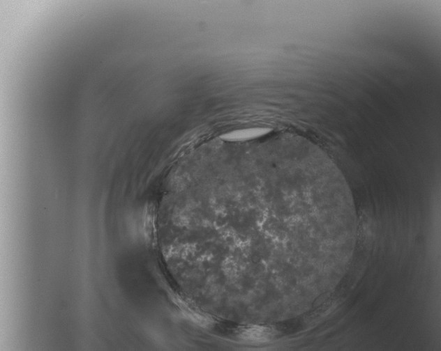 X0000077380527200610271949