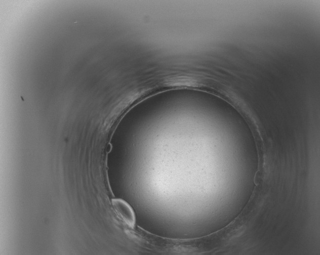 X0000077380529200610271948