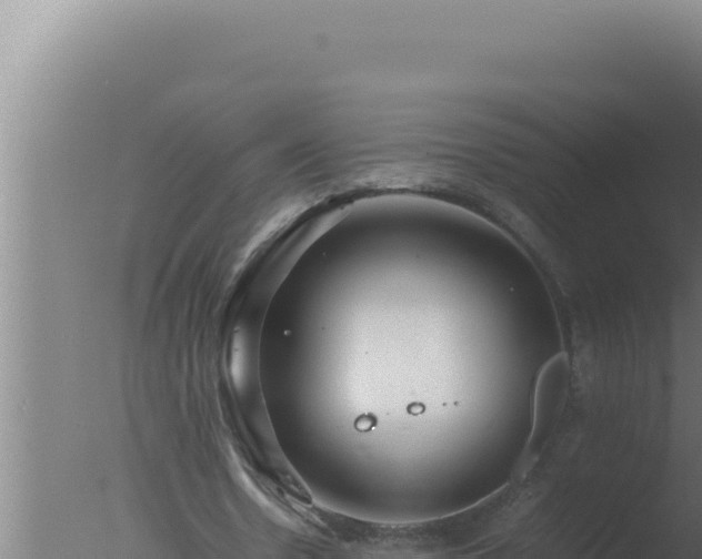 X0000077380530200610271948