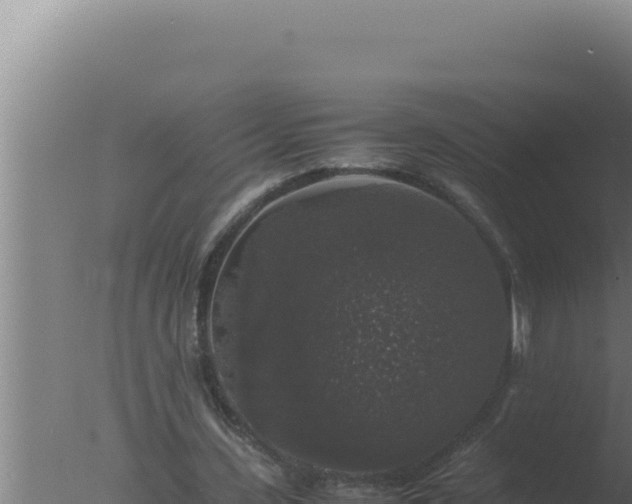 X0000077380531200610271948