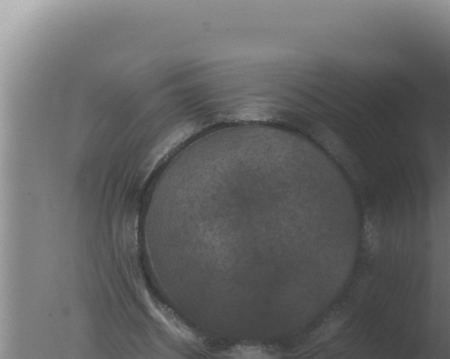 X0000077380534200610271948