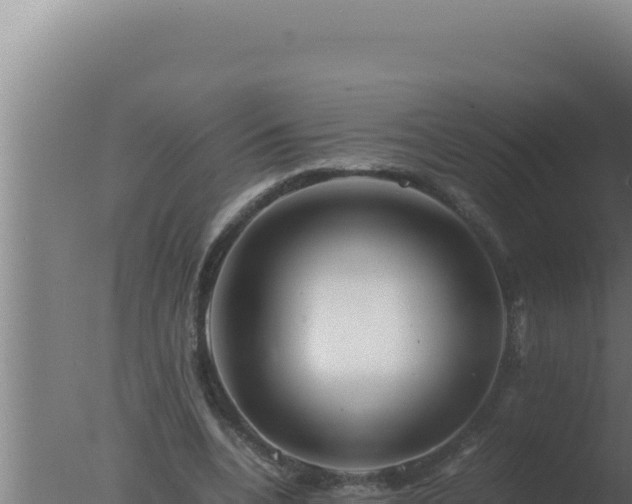 X0000077380536200610271948