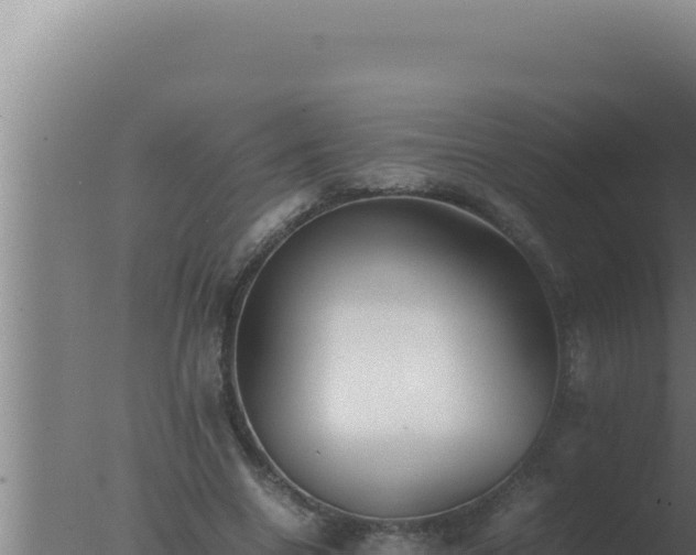 X0000077380538200610271948