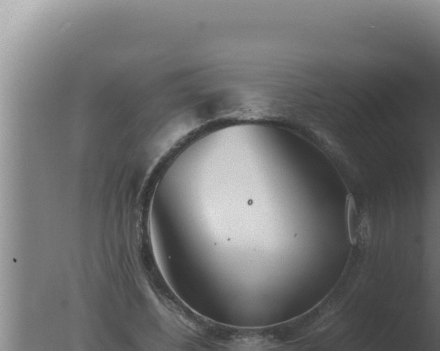 X0000077380540200610271948