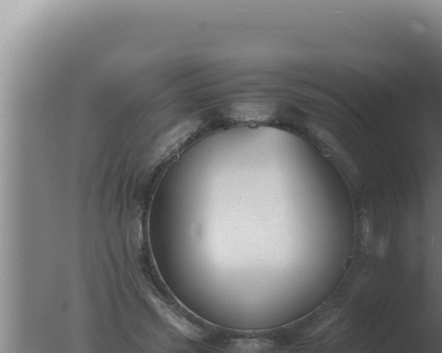 X0000077380541200610271948